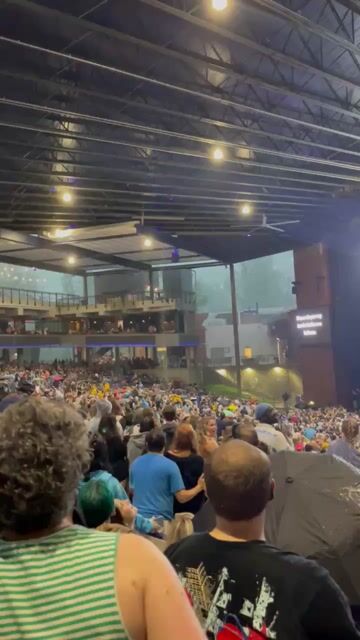 what would u do in this situation if this happened at a concert you were at 