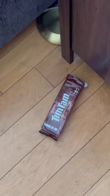 Does your partner have an uncontrollable sweet tooth, to the point where you must remove all snacks from the house? 