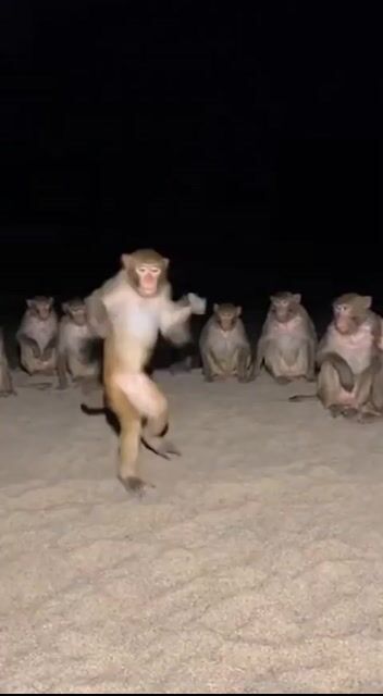 Have you ever woke up the night after a party and you had maybe one too many and this is how you remember yourself on the dance floor - how many drinks did you have?