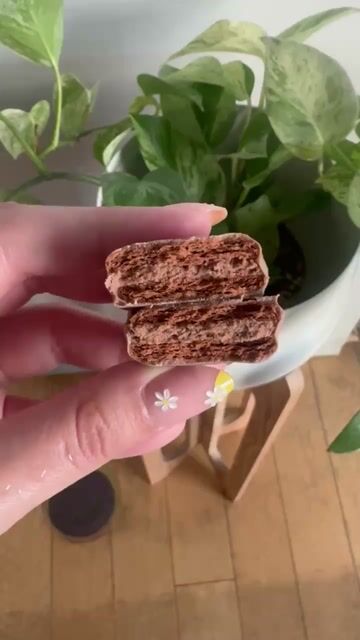 Have you ever had Tim Tams?