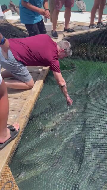 would u feed the fishies 