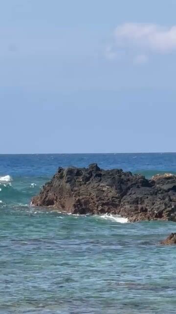 Anyone else immediately take out their phone when they see something in the ocean? I’ll be holding on to this video I got of a whale forever 🐋