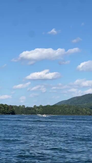 Forget zodiac sign, i need to know if you are a lake, ocean, or pool person in order to form my opinion on you 