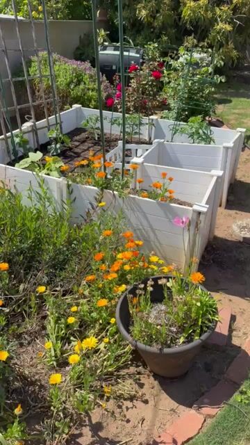 Do you like to garden and/or grow your own produce?