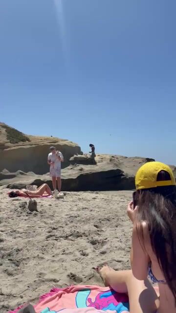 Why is there a Toucan just chilling at my beach???
