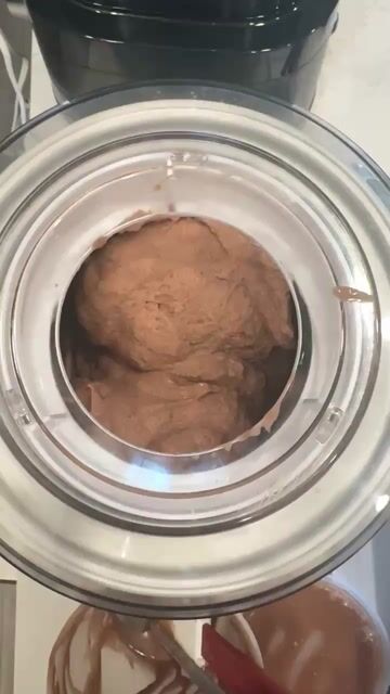 have you made homemade ice cream before 