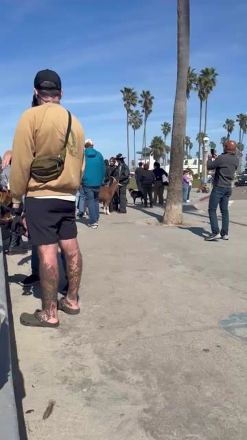 What are your thoughts on the OB Goat