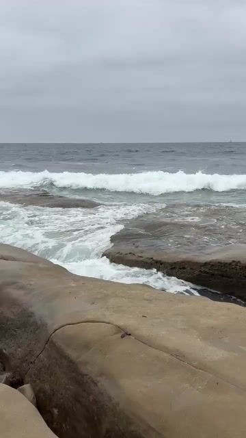 Best spot for tide pooling in SD??