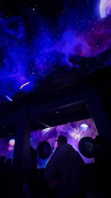 Just visited SeaWorld’s new Jewels of the Sea: Jellyfish Experience and I actually LOVED it. Would you go to this new exhibit?🪼