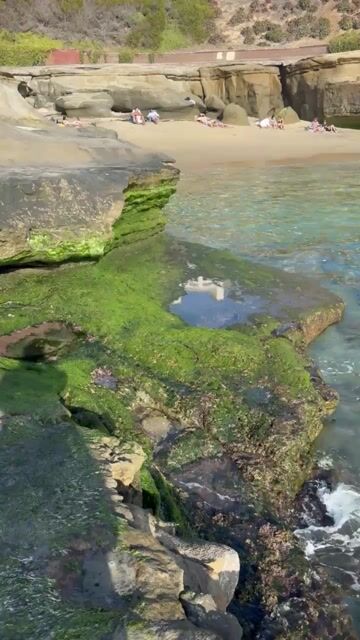 I hate when influencers post about my favorite hidden beach! Do you think a city’s best kept secret spots (beaches, lookouts, etc.) should be given away on social media?