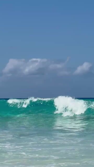 Are you a “tan on the sand” kind of beach person or “swim in the water” kind of beach person?