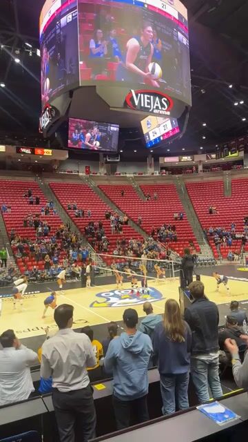 Okay but have you seen a major league volleyball game yet? Because it’s the second season and I am literally hooked. 