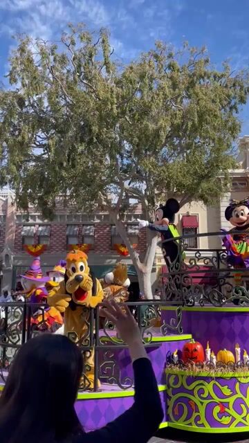 Do you like going to Disneyland? 