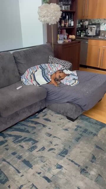 Does your dog sleep like he has a full time job?